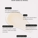 Ceramide Wet Gloss Lip Treatment